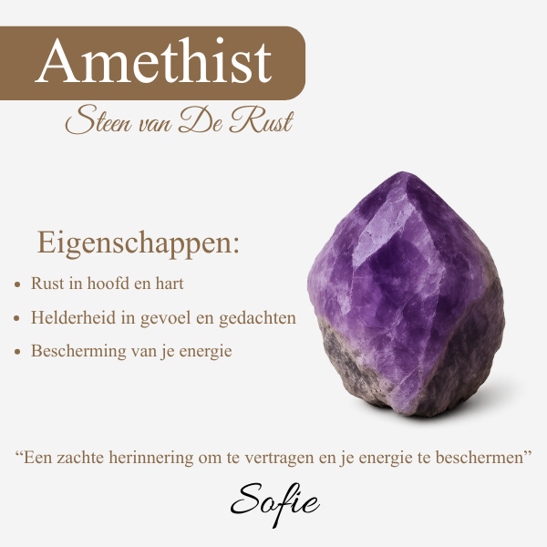 Sofie's Amethyst Necklace